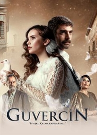 Guvercin